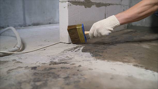 Top rated local Waterproofing specialists in Fruitport, MI